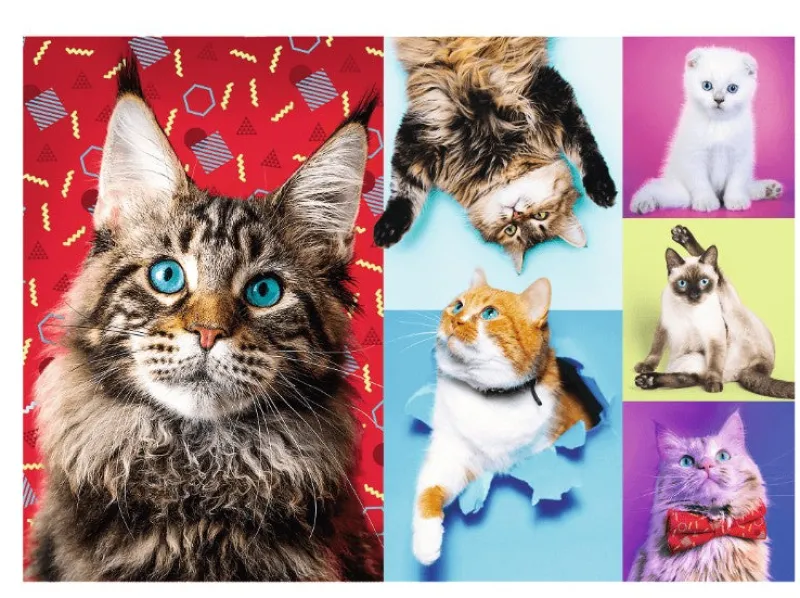 Trefl - Happy Cats - 1000 Piece Jigsaw Puzzle Fashion